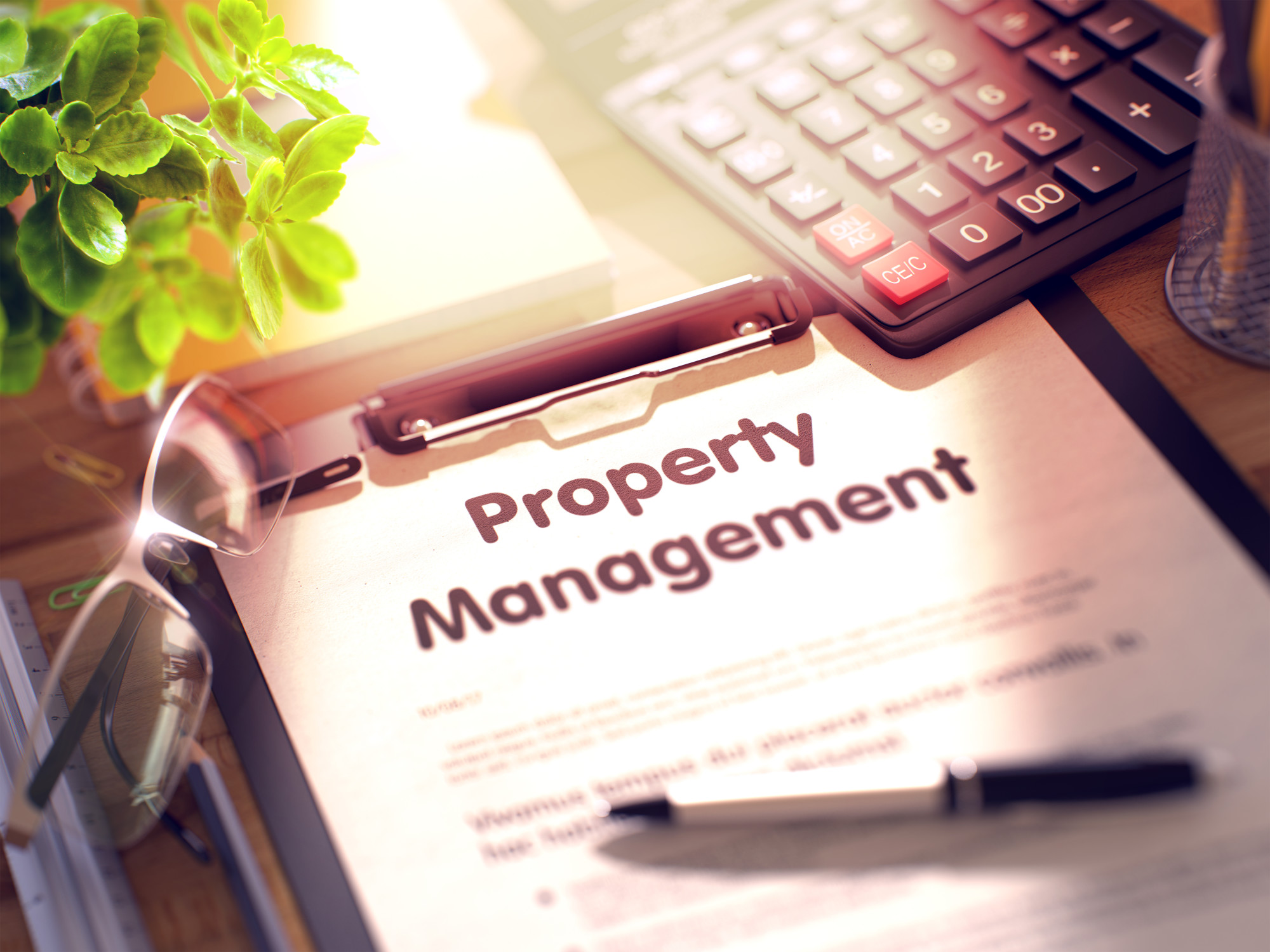 Top Tips for Choosing a San Francisco Bay Property Management Company